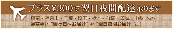 翌日夜間配達