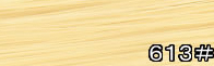 613#